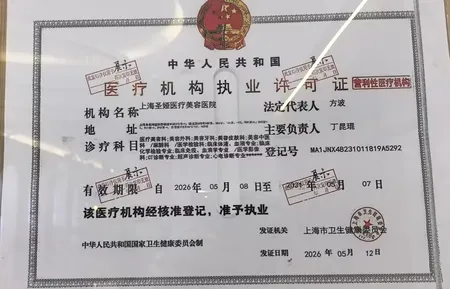 Shengya Medical Practice License