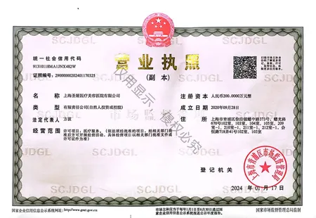 Shengya Business License